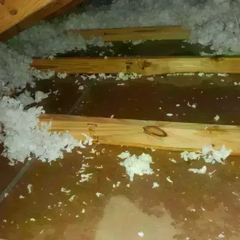 Attic Water Damage in Mexico, NY