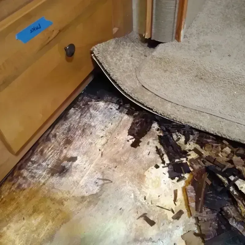 Wood Floor Water Damage in Mexico, NY